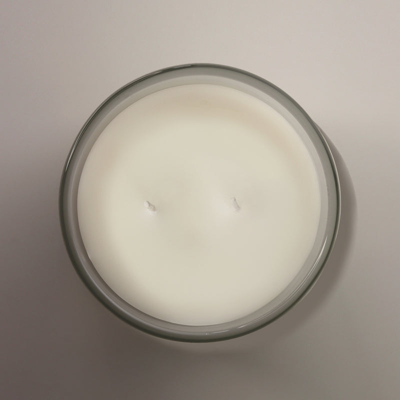 Sauge Blanche Givrée - Chandelle || White Frosted Sage - Candle